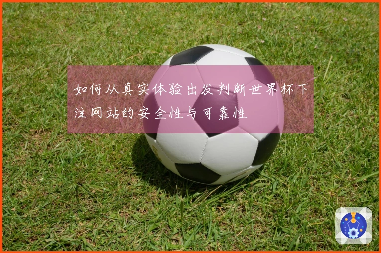 如何从真实体验出发判断世界杯下注网站的安全性与可靠性