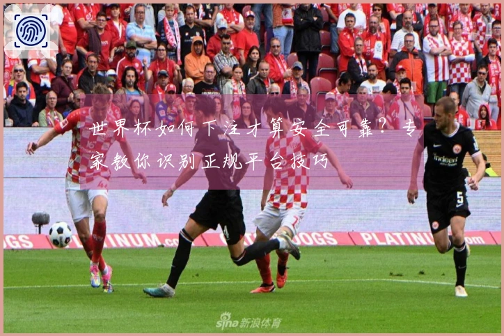 世界杯如何下注才算安全可靠？专家教你识别正规平台技巧