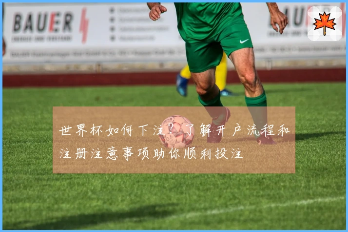 世界杯如何下注？了解开户流程和注册注意事项助你顺利投注
