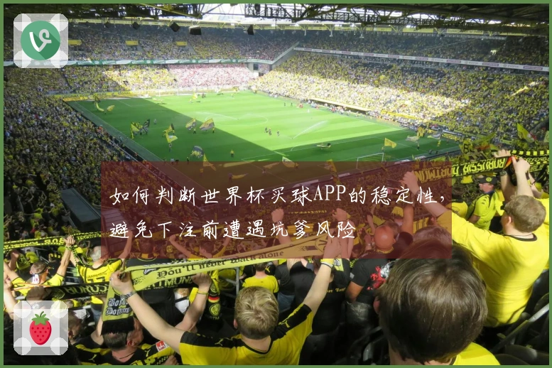如何判断世界杯买球APP的稳定性，避免下注前遭遇坑爹风险