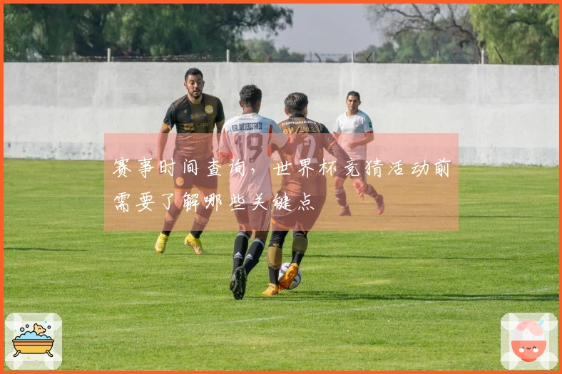 赛事时间查询，世界杯竞猜活动前需要了解哪些关键点