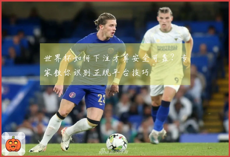 世界杯如何下注才算安全可靠？专家教你识别正规平台技巧