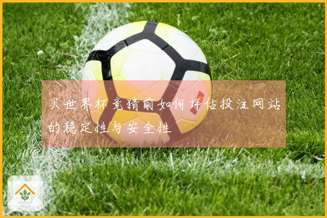 买世界杯竞猜前如何评估投注网站的稳定性与安全性