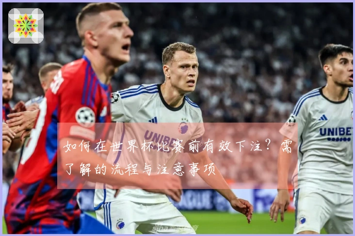 如何在世界杯比赛前有效下注？需了解的流程与注意事项