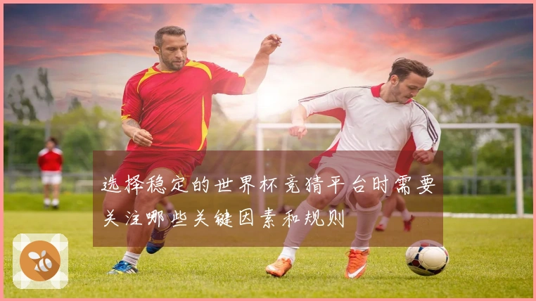 选择稳定的世界杯竞猜平台时需要关注哪些关键因素和规则
