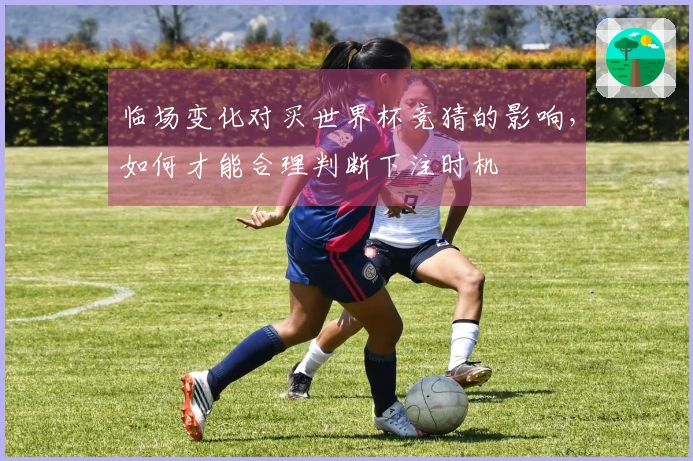 临场变化对买世界杯竞猜的影响，如何才能合理判断下注时机