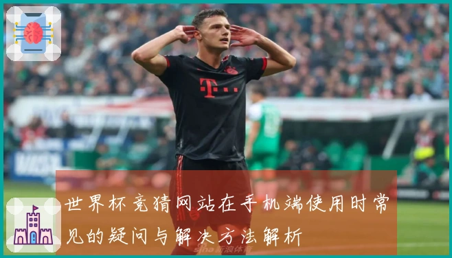 世界杯竞猜网站在手机端使用时常见的疑问与解决方法解析